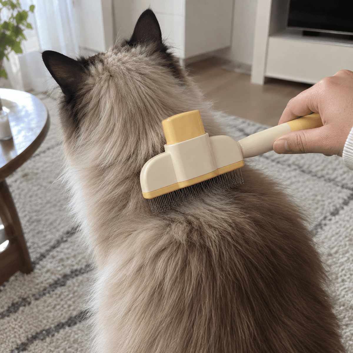 Self-Cleaning Pet Grooming Brush