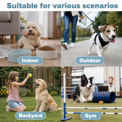Automatic Ball Launcher for Dogs