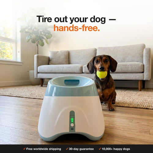 Automatic Ball Launcher for Dogs