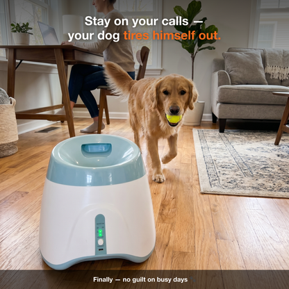 Automatic Ball Launcher for Dogs